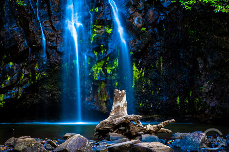 North Queensland – (3) Atherton Tablelands