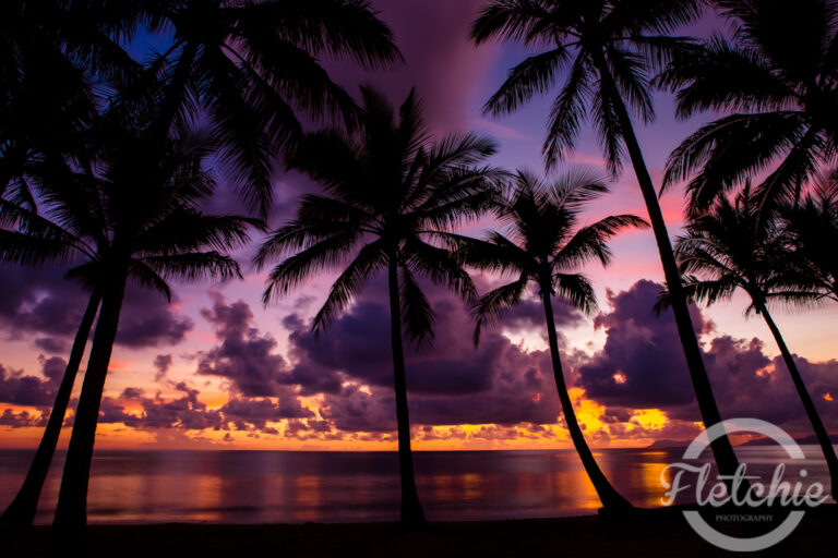 North Queensland – (4) Port Douglas, Mossman and Palm Cove